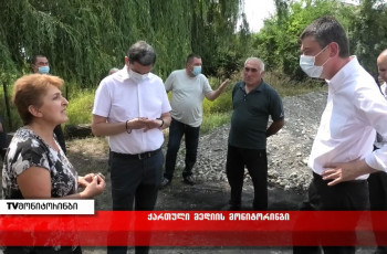 გიორგი გახარიას გორის მუნიციპალიტეტში გაბრაზებული ხალხი დახვდა და მათ ნაწილს გაექცა